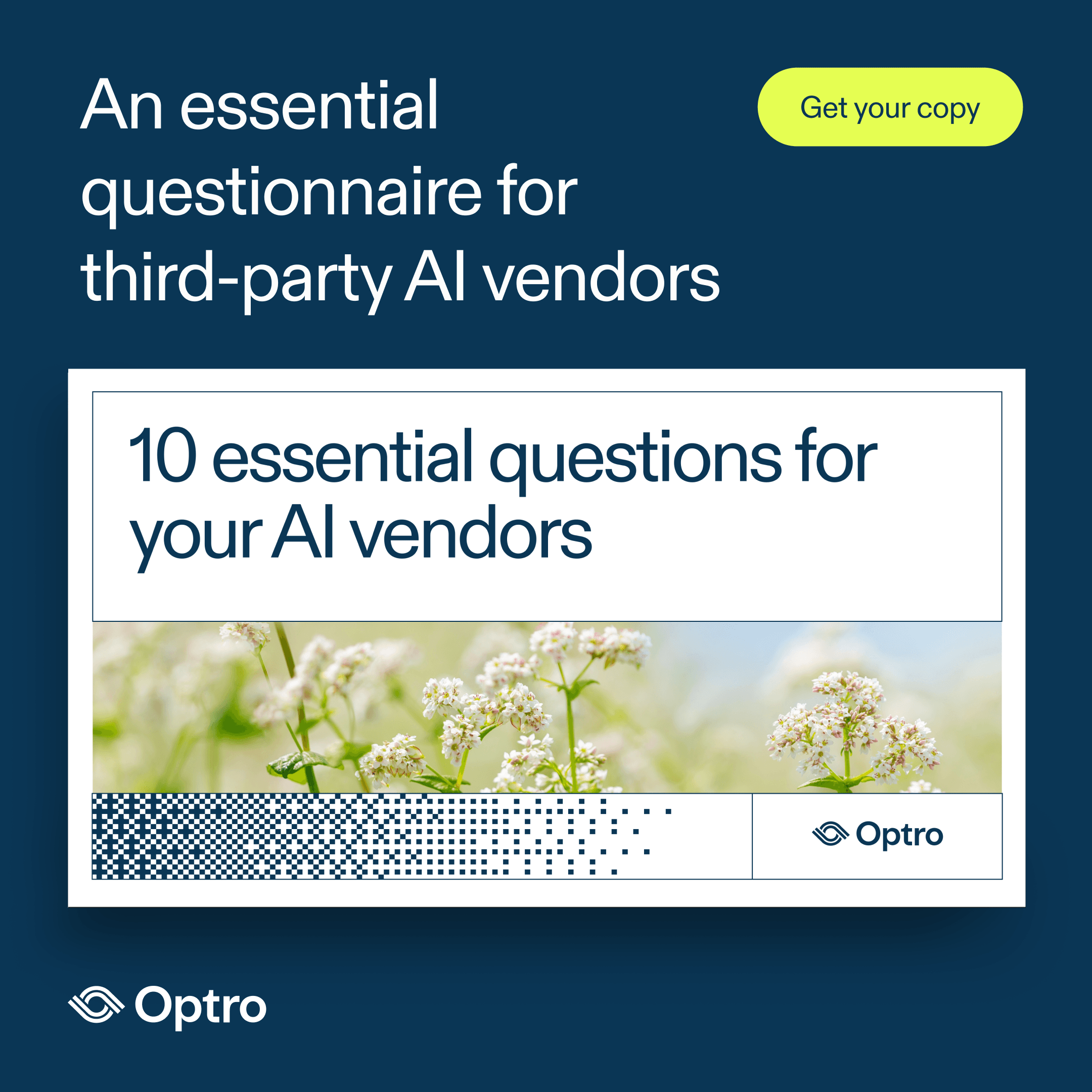 Optro additional audit sizes ad