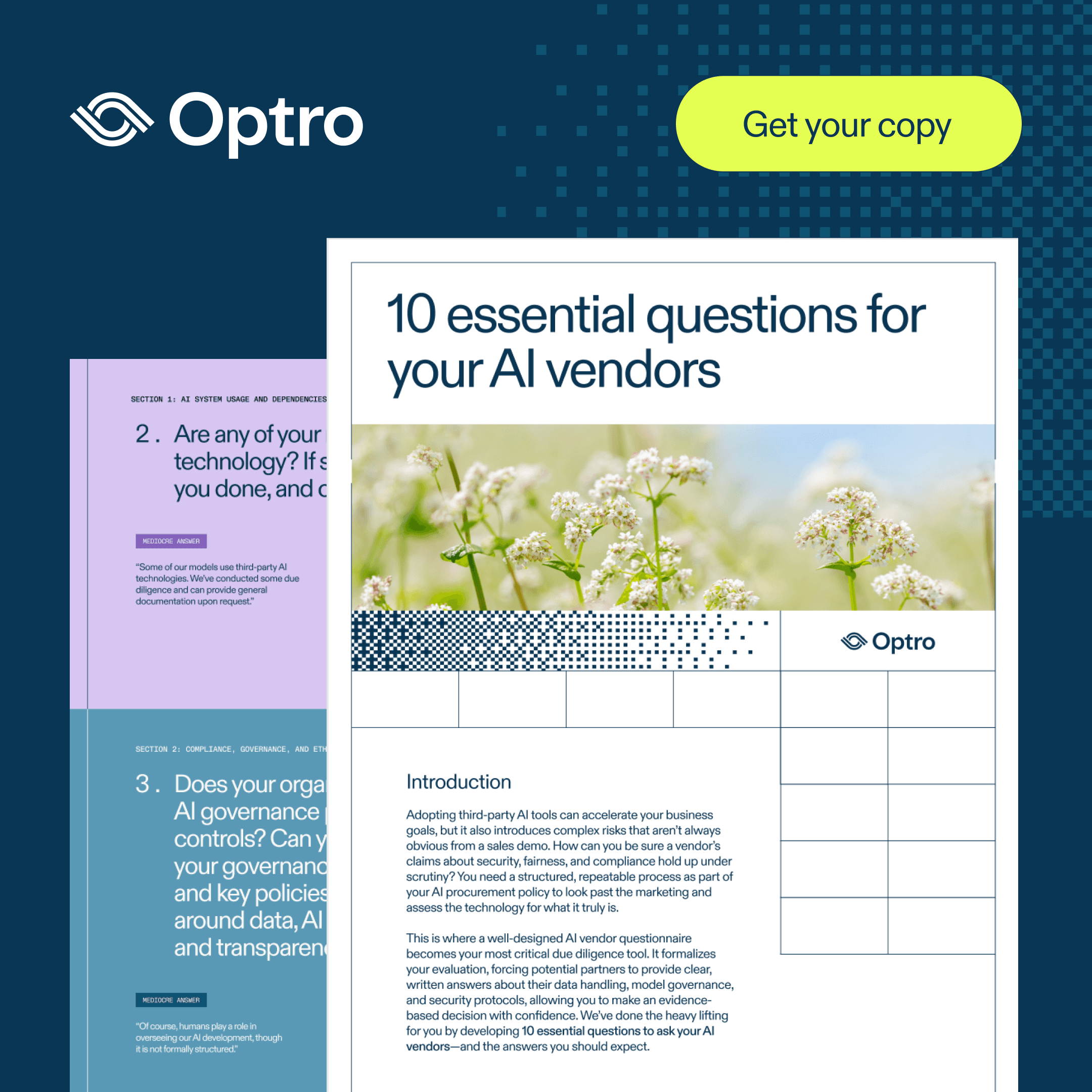 Optro page excerpt ad