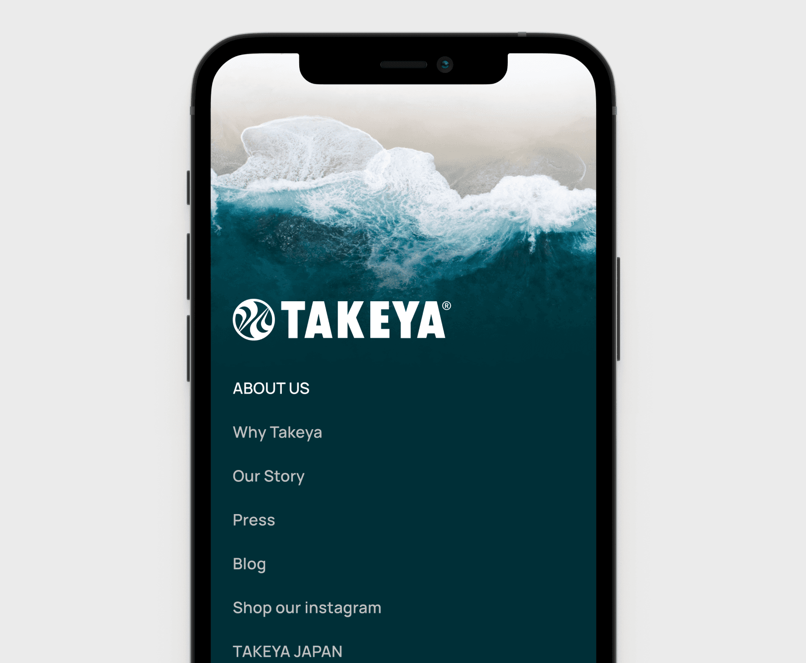 Takeya website screen